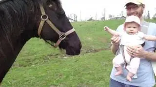 Blackie Teaches Daddy to Pay Attention