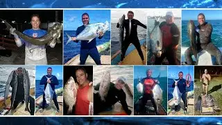 Só os Troféus da Pesca Submarina #spearfishing #fishinglife #TBT #michelcarvalho