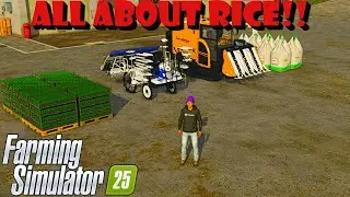 HOW TO USE NEW CROPS RICE FARMING SIMULATOR 25