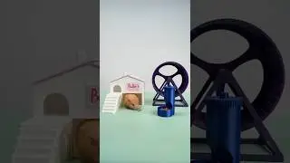 So cute! 3D printed a house for the little hamster!😘😘😘 