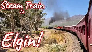 Steam Train to Elgin Railway Market! Ep 444