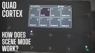 Neural DSP Quad Cortex || Scene Mode Explained