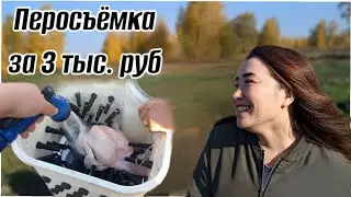 Перосьёмка из стиральной машины работает ОТЛИЧНО!