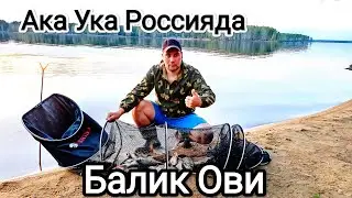 Балик ови. Сезон очилди сув омборида! 1-qism #рыбалка #баликови  #baliqovi