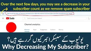 over the next few days, you may see a decrease in your subscriber count as we remove spam subscriber
