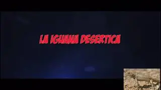 Nueva intro del canal