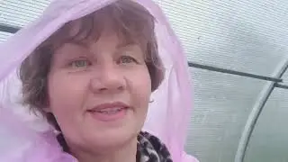 Дождливый, холодный день 9 мая. Обзор  
