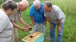 Демонстрация нуклеуса пчеловодам Молдовы