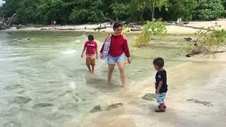 Elephant Bay beach - Havelock Island