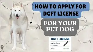 How to Apply For DGFT License For Your Pet Dog Online | Travel from US to India Temporarily
