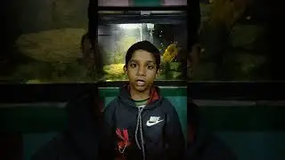 Tesu Raja ll टेसु राजा ll poem for kids