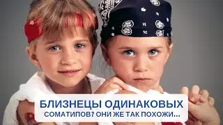 Близнецы всегда одинаковых соматипов?  Они же так похожи...