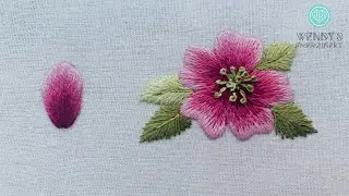 EPS 3: Long & Short Stitch - Shading on flower | Mũi Đâm Xô - Hiệu ứng phối màu 3D trên