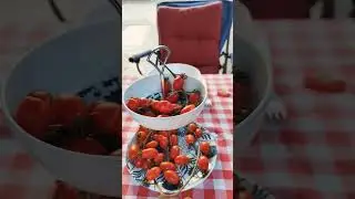 le origini del Caravan #caravan #nobiltà