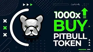 Pitbull  (PIT) New 100x Crypto | 100x Potential BUY Now?