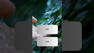 Water formula