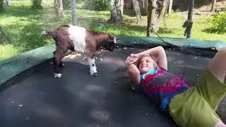 Малыш