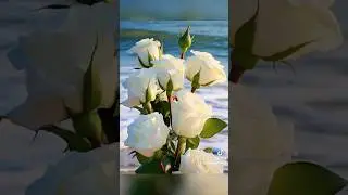 #доброеутро #счастья #мирногодня