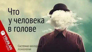 Что у человека в голове. Системно-векторная психология. Юрий Бурлан