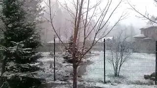 10.05.2017