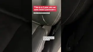 22 YEAR OLD LEATHER vs 4 YEAR OLD PLEATHER (Thunderbird wins?)