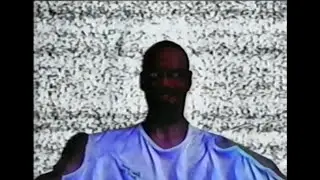 Bald Lucc stakes his revenge in the woods of Amsterdam (circa 1989)