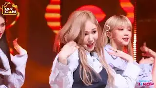 zdrocker's Top 10 Bias List (2021 Edition)
