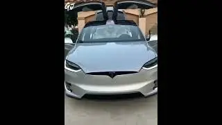 Tesla car status