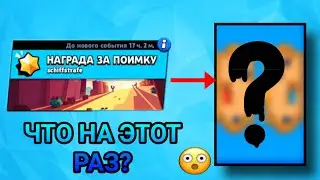 что на этот раз?