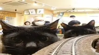 POV: You are at the mercy of two giant beasts