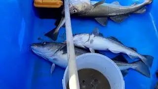 19 07 20  Выдача началась 2