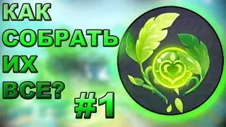 ВСЕ ДЕНДРОКУЛЫ В СУМЕРУ, часть 1 | Genshin Impact 3.0