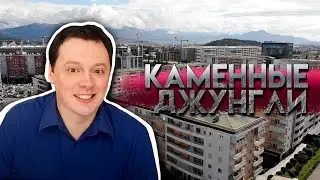 Каменные джунгли Подгорицы