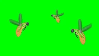 🐝 BEES 🐝 Frame Animation 💯| green screen effects - chroma key animations VIDEO HD *1080*