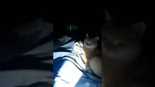 FNAF который мы заслужили