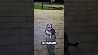 Ссылка на телеграм Локи в профиле канала🙏