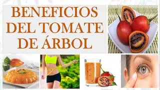 BENEFICIOS DEL TOMATE DE ARBOL