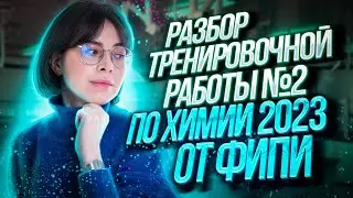 Разбор тренировочной работы №2 по химии 2023 от ФИПИ | Екатерина Строганова