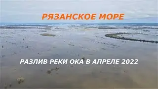 Рязанское море! Разлив Оки в апреле 2022 года!