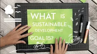 SDG 15 | Life on Land | 