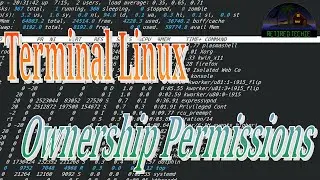 Terminal Linux - File/Folder Ownership and Permissions