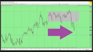 Price Action Trading: What Large Candles Mean & How to Trade Them