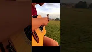 Guess the song! #guitar