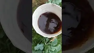 FERTILIZZANTE BIOLOGICO SUPERIORE OTTENUTO DA STALLATICO PELLETTATO 🌿🌿🌿❤️❤️❤️🤠