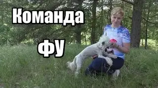 КОМАНДА 