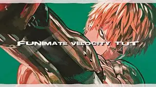 VELOCITY TUTORIAL | FUNIMATE