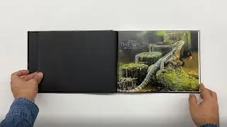 'The Wild' by Rob Annesley, proudly printed by Momento