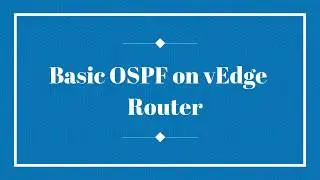 Cisco SD WAN Training - Basic OSPF on vEdge Router