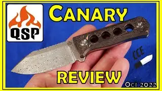 ?TOY or TOOL? - Full Review of the QSP Canary - QS141 (Mine is a Prototype)