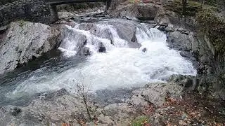 The Sinks